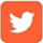 Twitter Icon Orange